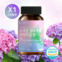 오늘의밸런스 수국잎 열수 추출물 프리미엄 정 1000mg 60정, 60정 X 1개 2개월분