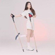 블랙야크 남녀공용 등산스틱 경량 5단 지팡이 BAC 폴딩135스틱 2BYSTX1902, GOLD - 135