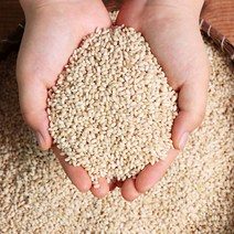 싸리재마을 콩사랑 국산 유기농 현미찹쌀가루 1kg, 1개