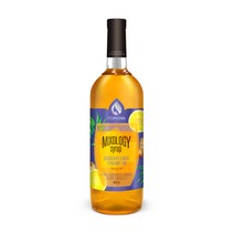 포모나 믹솔로지 진저 레몬 시럽 1000ml 생강 카페, 단품, 1개