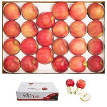 당도 높은 경북 봉화 사과 5kg (23입 이내)