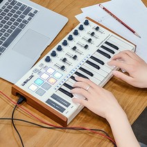 AKAI마스터키보드 Mini 25건반 MIDI 컴팩트 컨트롤러 AKAI MPK MK3, tuna mini 컬러 백라이트