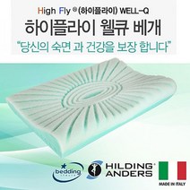 하이플라이 웰큐 목경추 메모리폼 베개
