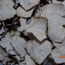 적하수오종근건재 150g, 1개