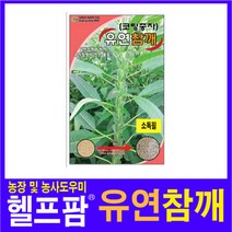 헬프팜 유연흑깨 3000립 씨앗 종자 그린하트바이오