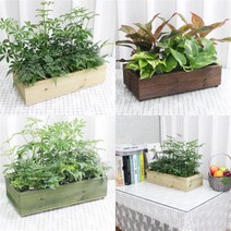 방부목화분 430 210 size 옥상텃밭 베란다화단 직사각형 상추화분 만들기, 딥브라운