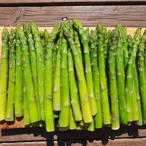 냉동 아스파라거스 1kg(45~50개내외)