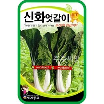 엇갈이 씨앗 20g 신화 얼갈이배추 김장 채소 가을 여름 종자 cabbage seed, 단품
