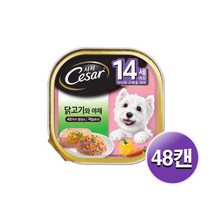 브이펫 시저 14세이상 닭고기와야채 100g 48캔무료배송