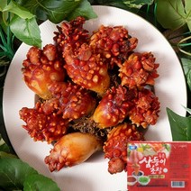 삼시세끼연구소 햇 통영 멍게 멍게비빔밥 횟감 용 깐멍게 활멍게 냉동멍게 500g 1kg 2kg 3kg 10kg, 깐 생물 멍게 1kg(해수포함), 1개