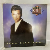 RICK ASTLEY LP / 엘피 / 음반 / 레코드 / 레트로 / C1884