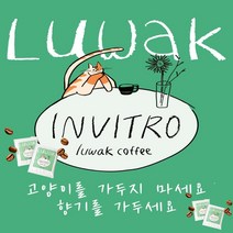 [당일 로스팅 출고] 인비트로 루왁 사향고양이 저카페인 발효커피 (원두 드립백), 200g 원두(분쇄도:홀빈)