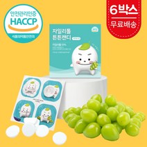 자일리톨 튼튼캔디 핀란드 천연 자이리톨 자일스톤 덴티캔디 아기 유아용 어린이 맛있는 양치 충치예방 무설탕 무가당 캔디 사탕 스톤 간식 청포도 샤인머스켓 낱개포장 60정, 튼튼캔디 6박스