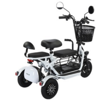 [BFMAX] 접이식 고출력 삼륜 스쿠터 전기 바이크 카트 세발 미니 전동 출퇴근 소형, 플래그십 15A 리튬배터리 60km주행_화이트