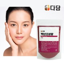 다담웰푸드 백년초가루 50g, 백년초가루 50g 1개, 1개
