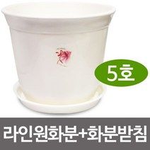 웰빙 라인원화분+화분받침(5호)원형화분 받침대 원예, 1개
