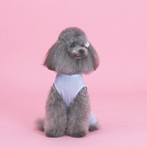 자체제작 강아지옷 랄라 스윗 올인원, 색상:블루|사이즈:M