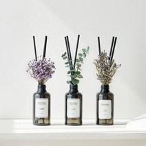 네이처 실내 방향제 디퓨저 100ml, 프레쉬자몽, 1개