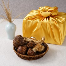 자연산 송이버섯 생송이버섯 선물세트 설 추석 명절 선물용, 1박스, 1품 1kg +보자기포장