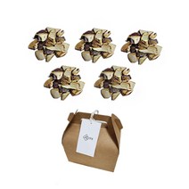 일심 누리달 영지버섯 절편 100g(20gx5p) 240g(20gx12p) 선물박스 국내산, 100g (20gx5p)