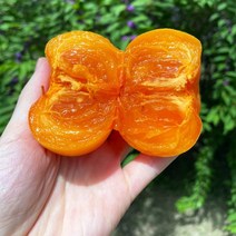 달콤한 청도반시 씨없는 감 홍시 연시, 1개, 청도반시 5kg 대과(35과 내외)