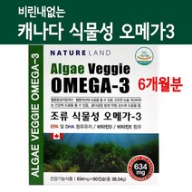 캐나다 식물성 오메가3 비타민D 임산부오메가3 DHA EPA 고함량 미세조류 비린내없는 혈행개선 비타민E 건조한눈 수유부 수험생 직장인영양제 두뇌건강 효능, Brainbee NO 6EA