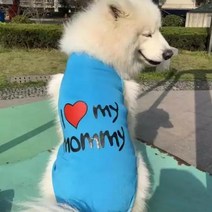 [무료배송]볼독 ILOVEMOMMY ILOVEDADDY 티셔츠 중형견옷 대형견옷, 파란색