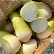 프레아 마켓 국내산 월동무 무우 세척무 제주무, 제주무 약 5kg (4개 전후)