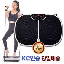 EMS 저주파 진동 운동기 음파진동기 쉐이크보드 실내 운동기구 덜덜이 DR-3700, 진동운동기 DR-3700