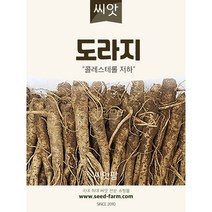 도라지씨앗 (4000립)