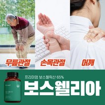 관절연골엔 보스웰리아정 1000mg 무릎통증에좋은 보스웰리아영양제 손목에좋은영양제 보스웰, 4통(8개월분량)