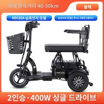 어르신 노인전동차 경량 전동휠체어 노인 전동스쿠터 노인 소형 미니 전기 세발 자전거는 장애인 배터리 휠체어, 4.성인용 2인용 검정색 20A 납산 배터리, 1.48V, 4.성인용 2인용 검정색 20A 납산 배터리