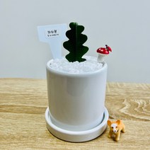 키우기 쉬운 미니선인장 피쉬본 생선뼈선인장 다육이 인테리어화분 특이한 화분, 그레이, 1개