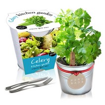 화분백화점 양철키친가든 세경팜 재배화분 노랑대추방울토마토, 양철키친가든(샐러리)