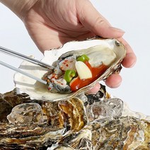 [맛통영] 통영 산지직송 제철 최상급 생굴 깐굴 굴 석화 각굴 하프셀 반각굴 1kg, 하프셀30미(전후)