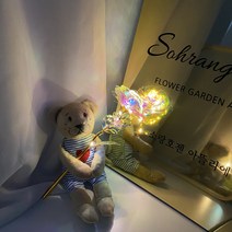 홀로그램 장미 꽃을 든 곰돌이 이케아 곰인형 무드등 화이트데이 기념일 생일 여자친구선물, 추가+2000