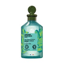 이브로쉐 모링가 헤어 식초 스칼프, 150ml, 1개