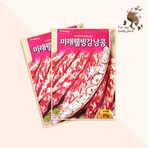 미래웰빙강낭콩 25g 미래종묘 열매채소류 씨앗, 1개