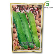 파머스케어 보양작두콩10립 - 보양작두콩 콩씨앗 KS종묘 수량많고 색상우수 백태 백미작두콩 녹두 동부 야채 채소 씨앗, 1개