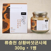 류충현약용버섯 류충현 상황버섯균사체 분말 가루 파우더 차 물 종균 뽕나무 목질진흙버섯 100프로, 300g, 2개