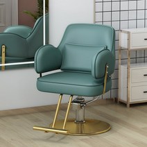바버샵의자 이발소의자 럭셔리 회전 안락 의자 미적 스타일링 전문 이발 살롱 트리트먼트 세디아 기레 가구 LJ50BC, 10.gold disc