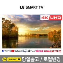 LG 65인치 4K 스마트 UHD TV 65UN6955 초고화질, 3. 지방권역 스탠드 +HDMI 2.0