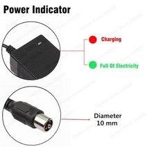 전기 자전거 충전기 252V 10A 리튬 이온 스쿠터 216V 222V 24V 6S 이바이크 전동 공구 배터리, RCA_EU