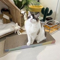 PETCA 65cm 특대 평판형 스크래쳐 고양이 장난감, 스크래쳐-평판형