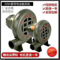 220V 원심 분리 아궁이 바람 기기 바베큐 미니송풍기, T17-주물석쇠 구리 코어