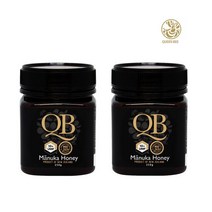 QB마누카꿀 UMF 10+ 병꿀 2병x250g, 단품, 단품