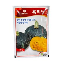 흑피단 호박 씨앗 70립 [22년포장] 맛있는 단호박 종자