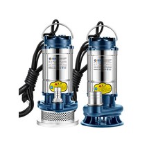 소형 워터펌프 순환 수중 충전식 휴대용 고압 양수기, 550W 1인치 10m 라인-베어