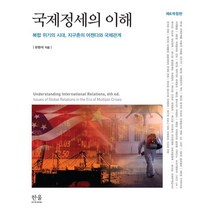 국제정세의 이해 : 복합 위기의 시대 지구촌의 어젠다와 국제관계, 한울아카데미, 9788946080058, 유현석 저