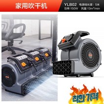 트 블로잉 로비 카펫 제습기 건조, YLB02